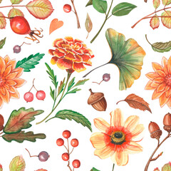 Watercolor seamless pretty pattern with orange marigold flower. Autumn red and green leaves, berries, acorn at white background for textile and pack. © Diana