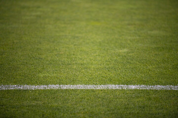 Beautiful fresh green grass on football field, soccer field with outer lines.