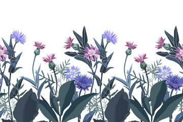Vector floral seamless pattern, border. Horizontal panoramic illustration with cornflowers and thistles on a white background.