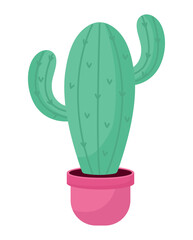 cactus on pink pot