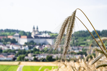 Getreidefeld in Sankt Florian bei Linz - obrazy, fototapety, plakaty
