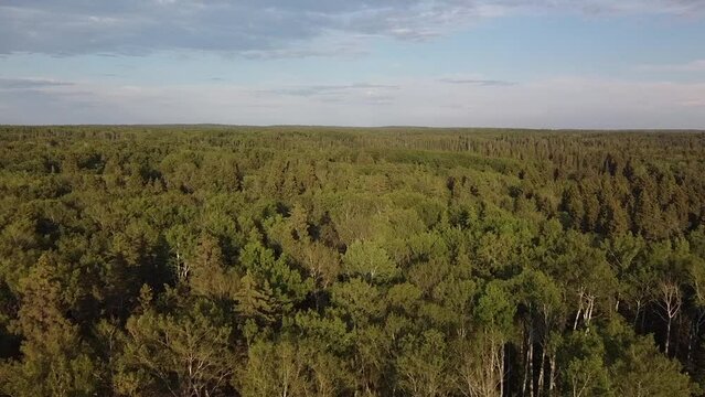 Drone view flyover of lake and forest in Manitoba in the summer
