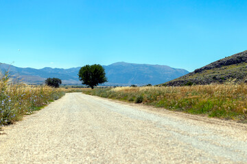 Fototapeta na wymiar dirt road leading to the mountains in the country, there are fields on the side