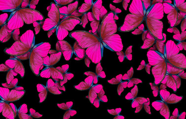 Flight of bright purple butterflies abstract background. Purple morpho butterflies. 