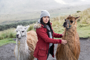 rural destination with young woman wearing a winter clothes while walking with some llamas, mammal domestic animal, landscape with nature in the field, farm lifestyle, travel