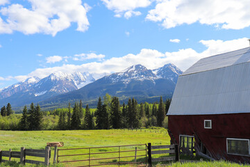 Back View of the Farm