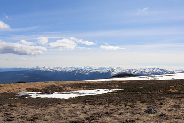 Alpine in the Spring