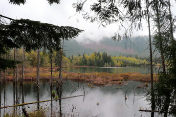 Foggy Morning on the Lake