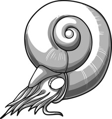 Sea clam in shades of gray vector hand drawn for coloring books