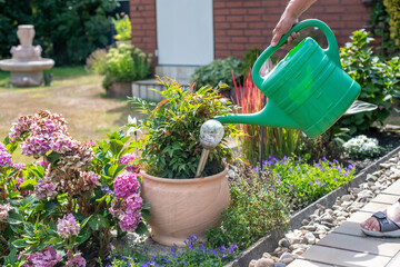 Blumen gießen mit Gießkanne