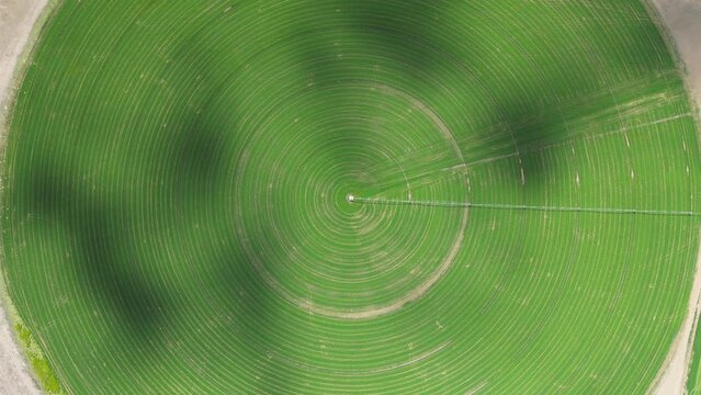 Green crop circle in brown arid landscape - Aerial video from directly above