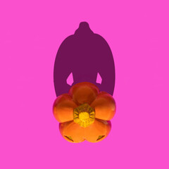 Creative Halloween concept. Scary pumpkin on pink background. Minimalistic holiday composition.