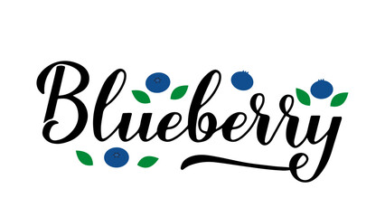 Blueberry calligraphy hand lettering blueberries. Fresh summer berry. Vector template for typography poster, banner, sticker, shirt, etc
