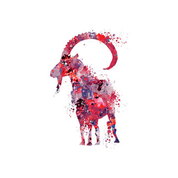 goat illustration vector art design digital art ready for print