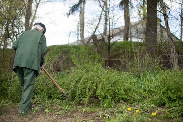 Old man in garden rows grass. Grandpa cleans garden. Work on land. Growing plants.