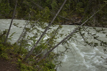 View of Blaeberry River in British Columbia,Canada,North America
