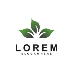 lotus logo vector design template