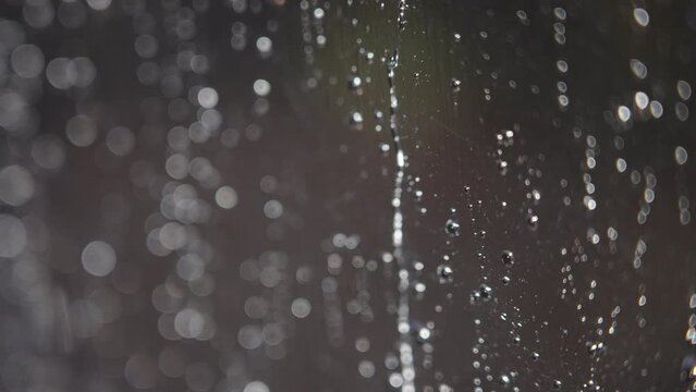 Raindrops Slide Down The Glass