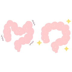 手描きのねじれ腸と元気な腸セット