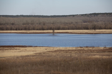 Meadow, Lake, and Forest