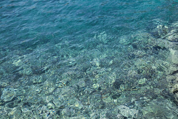 Shallow water with rocky sea bottom as background