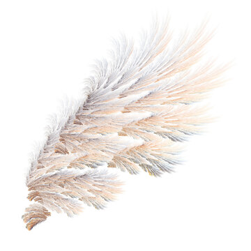 Abstract eagle wings illustration