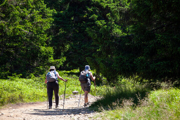 Senior couple walking in the woods on hot summer day.