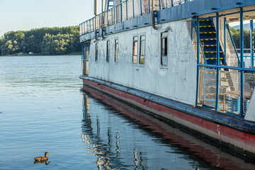 Fototapeta na wymiar Ferry on the Danube river in Hungary.Summer season.