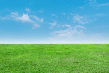 Fototapeta na wymiar Landscape view of green grass with bright blue sky and clouds background.