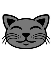 Graue Katze Gesicht glücklich 