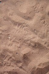 The texture of pure sand on the beach or in the desert. There is free space for the text.