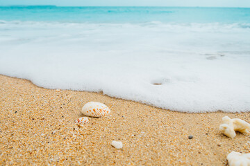 Low angle close up shot of beach waves with some shells