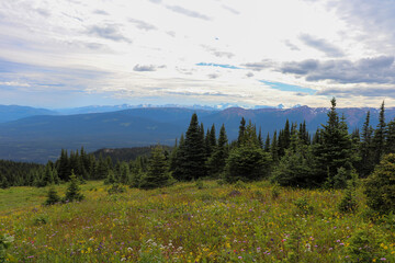 Hudson Bay Mountain View 2