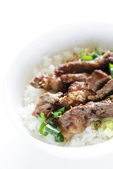 Korean barbecue steak and spring onion on rice for gourmet lunch