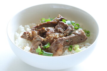 Korean barbecue steak and spring onion on rice for gourmet lunch