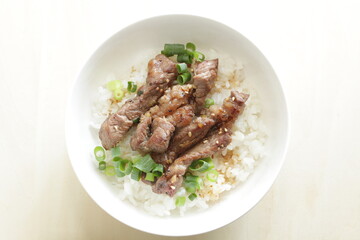 Korean barbecue steak and spring onion on rice for gourmet lunch