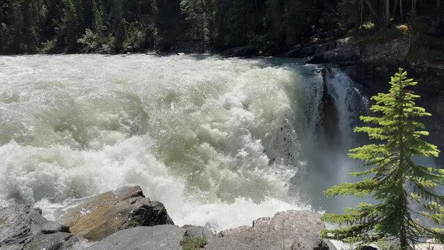 Vibrant Sunwapta Falls cascading down a rocky mountain range in the Canadian Rockies, Alberta. Sunwapta Falls is a powerful waterfall of the Sunwapta River located in Jasper National Park
