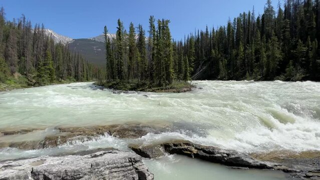 Vibrant Sunwapta Falls cascading down a rocky mountain range in the Canadian Rockies, Alberta. Sunwapta Falls is a powerful waterfall of the Sunwapta River located in Jasper National Park