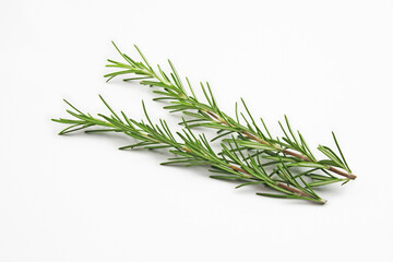 Fototapeta premium ローズマリー ハーブ 料理 食材 スパイス 