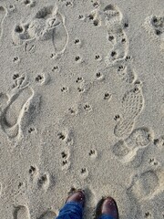 footprints in sand