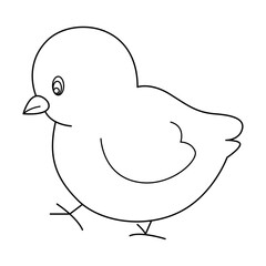 chick outline cartoon design on transparent background
