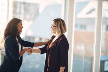 Handshake, meeting and successful manager welcoming, promoting and agreeing with a talking...