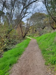 Fototapeta premium footpath in the park