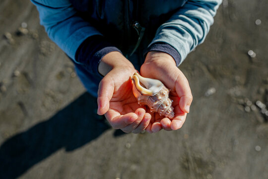Boy holding a seashell