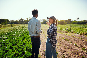 Sustainable farmers talking about organic green crops on a farm on a sunny day outdoors. Two...