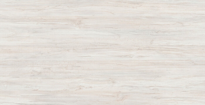 Seamless wood texture background, white oak texture for furniture	