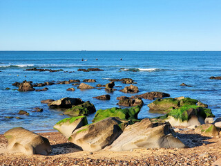 Green algae covered rocks at the beach