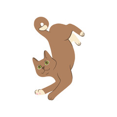 Lying grey cat in doodle style. Colored playful cat. Cute vector illustration isolated in white background