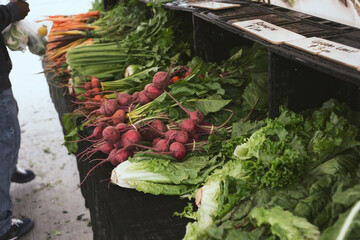 A view of a large table full of a variety of fresh vegetables, on display at a local farmers market.