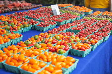 A view of a table full of a variety of cherry tomatoes, on display at a local farmers market.